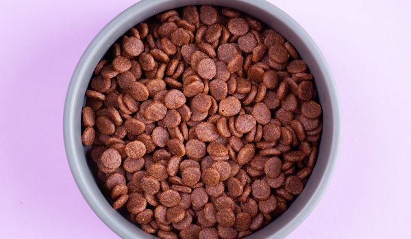 Acana Adult Small Breed Recipe – detail granulí