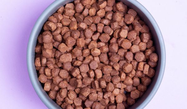Eukanuba Adult Small Breed – detail granulí