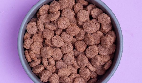Eukanuba Overweight – detail granulí
