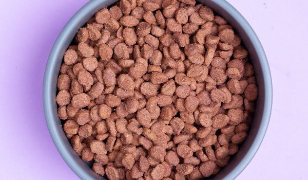 Purina Pro Plan Sensitive Digestion – detail granulí