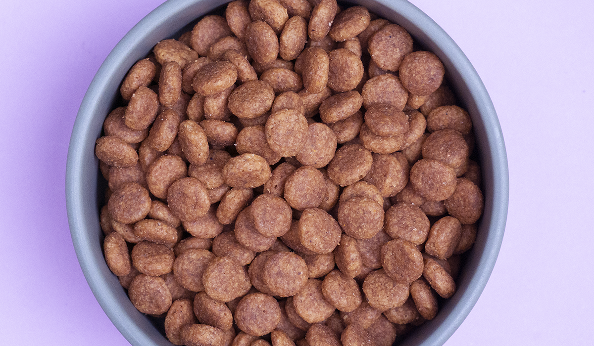 Royal Canin Adult 7+ – detail granulí