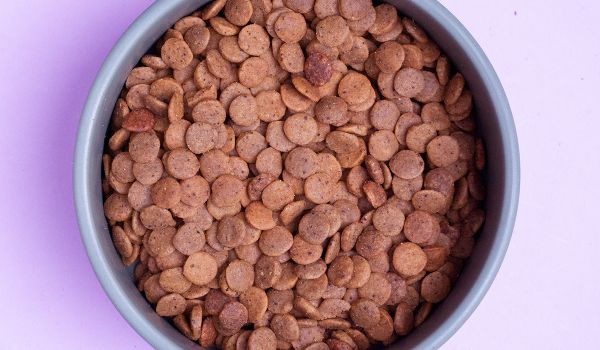 Rufruf Fresh & Tasty Losos pro štěňata – detail granulí