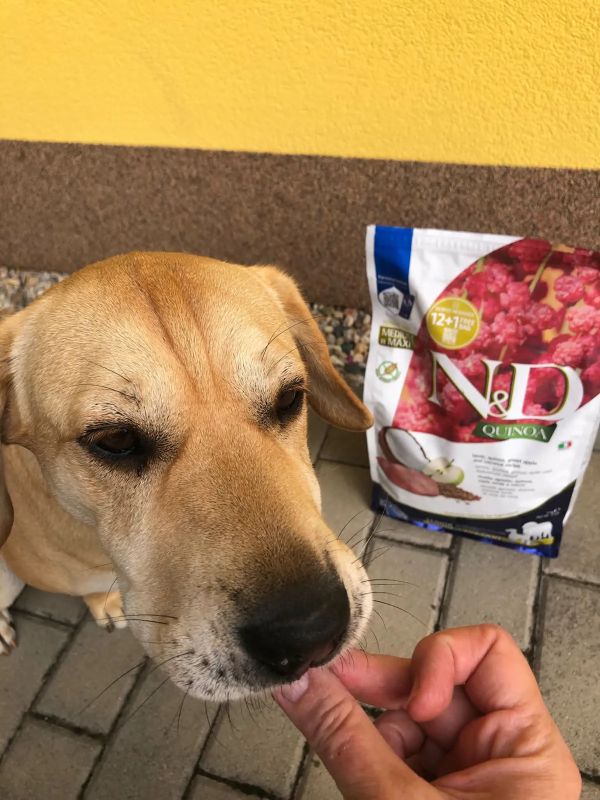 Bela a granule Farmina N&D Quinoa Senior
