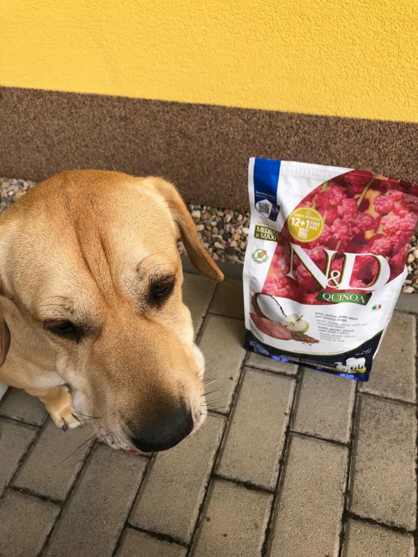 Bela a granule Farmina N&D Quinoa Senior